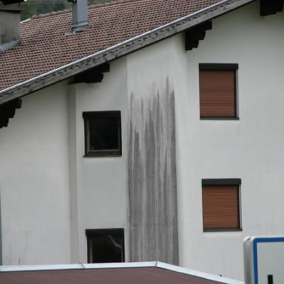 algen06.jpg
