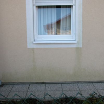 algen05.jpg
